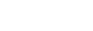 The Eagle Team